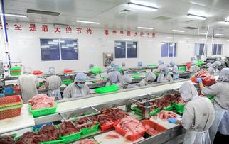新政来了 看看哪些跟你有关