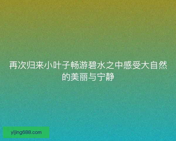 再次归来小叶子畅游碧水之中感受大自然的美丽与宁静